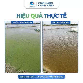 Mật Rỉ Đường Nguyên Chất